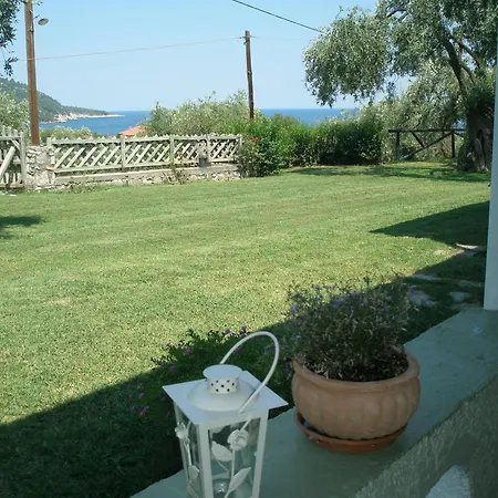 Sarimpalas 코이니라